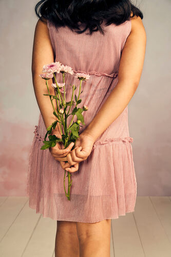 Blush Self Design Flounce Dress, Blush, image 7